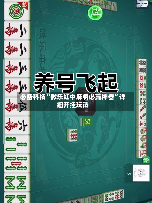 必备科技“微乐红中麻将必赢神器	”详细开挂玩法-第2张图片