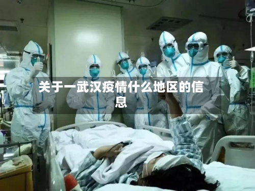 关于一武汉疫情什么地区的信息-第1张图片