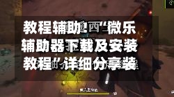 教程辅助！“微乐辅助器下载及安装教程”详细分享装挂步骤教程-第3张图片