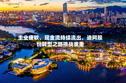 主业疲软	、现金流持续流出，迪阿股份转型之路挑战重重-第2张图片