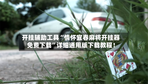 开挂辅助工具“情怀宜春麻将开挂器免费下载”详细通用版下载教程！-第2张图片