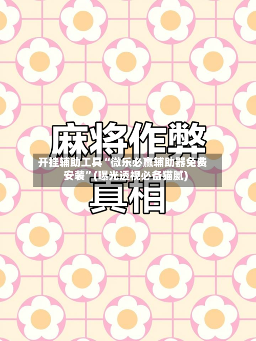 开挂辅助工具“微乐必赢辅助器免费安装”(曝光透视必备猫腻)-第2张图片