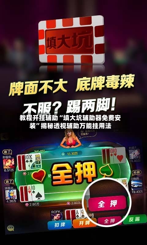 教程开挂辅助“填大坑辅助器免费安装	”揭秘透视辅助万能挂用法-第1张图片