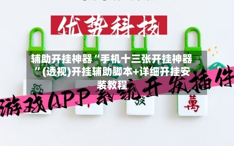 辅助开挂神器“手机十三张开挂神器	”(透视)开挂辅助脚本+详细开挂安装教程-第2张图片