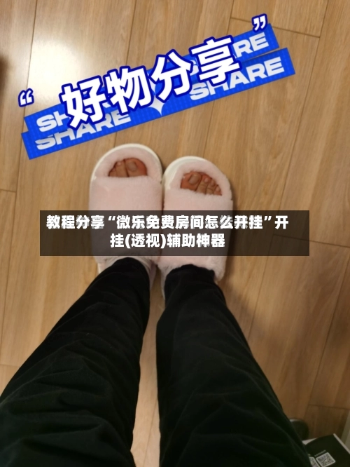 教程分享“微乐免费房间怎么开挂	”开挂(透视)辅助神器-第2张图片