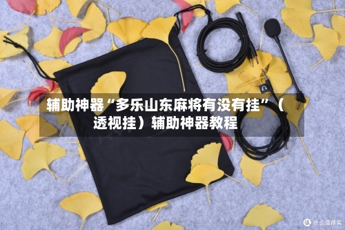 辅助神器“多乐山东麻将有没有挂”（透视挂）辅助神器教程-第2张图片