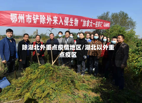 除湖北外重点疫情地区/湖北以外重点疫区-第1张图片