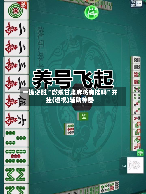 一键必胜“微乐甘肃麻将有挂吗”开挂(透视)辅助神器-第3张图片