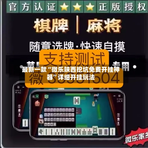 最新一款“微乐陕西挖坑免费开挂神器”详细开挂玩法-第1张图片