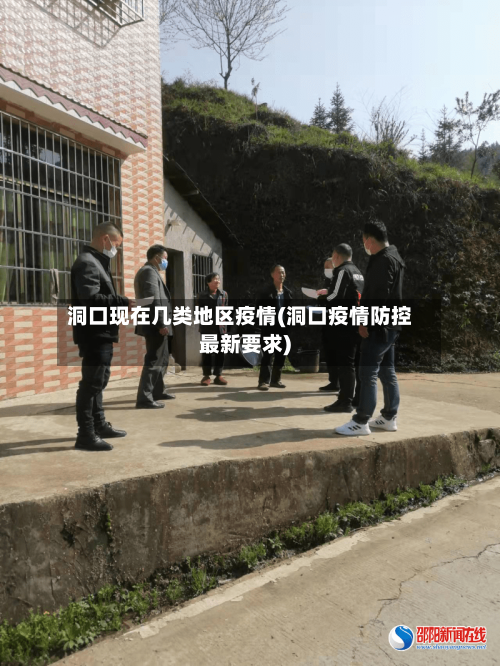 洞口现在几类地区疫情(洞口疫情防控最新要求)-第2张图片
