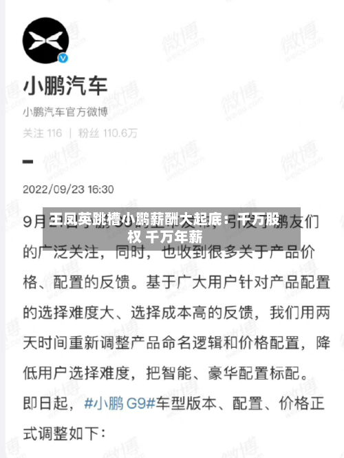 王凤英跳槽小鹏薪酬大起底：千万股权 千万年薪-第1张图片