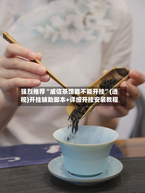 强烈推荐“威信茶馆能不能开挂”(透视)开挂辅助脚本+详细开挂安装教程-第2张图片
