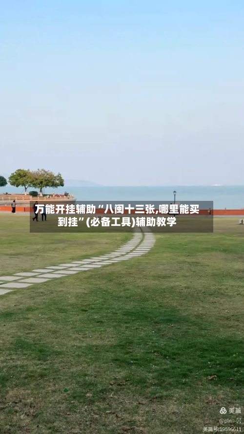 万能开挂辅助“八闽十三张,哪里能买到挂”(必备工具)辅助教学-第2张图片