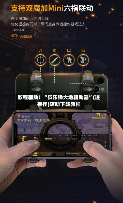 教程辅助！“微乐锄大地辅助器”(透视挂)辅助下载教程-第3张图片