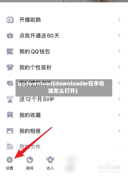qqdownload(downloader在手机端怎么打开)-第2张图片