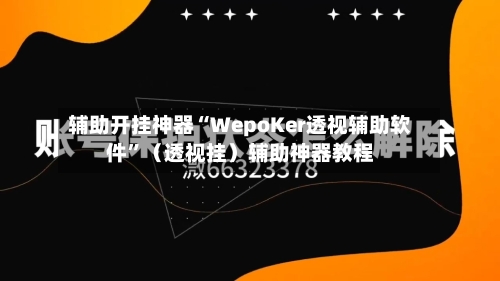 辅助开挂神器“WepoKer透视辅助软件	”（透视挂）辅助神器教程-第2张图片