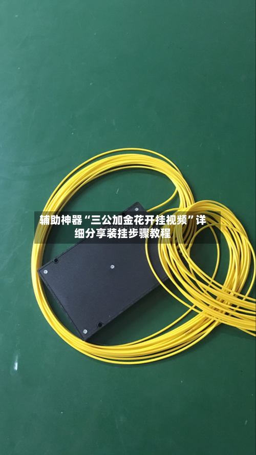 辅助神器“三公加金花开挂视频	”详细分享装挂步骤教程-第1张图片