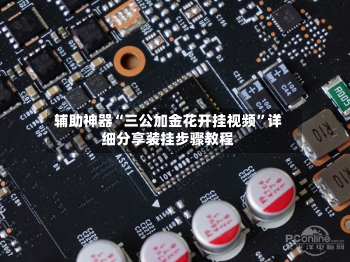 辅助神器“三公加金花开挂视频”详细分享装挂步骤教程-第2张图片