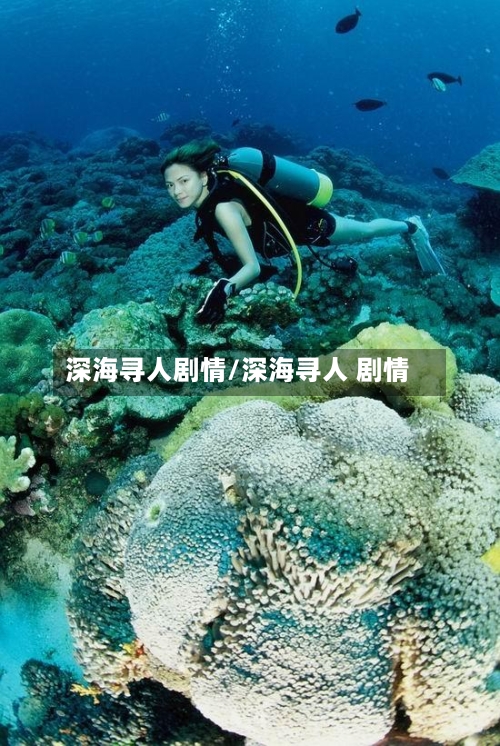 深海寻人剧情/深海寻人 剧情-第1张图片