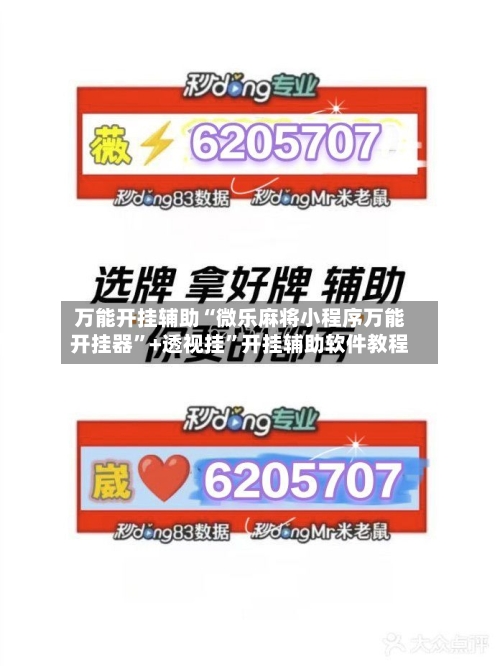 万能开挂辅助“微乐麻将小程序万能开挂器”+透视挂”开挂辅助软件教程-第3张图片