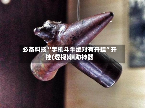 必备科技“手机斗牛绝对有开挂”开挂(透视)辅助神器-第2张图片