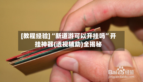 [教程经验]“新道游可以开挂吗”开挂神器{透视辅助}全揭秘-第3张图片