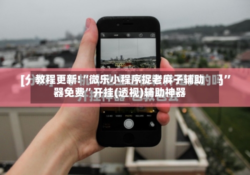 教程更新!“微乐小程序捉老麻子辅助器免费	”开挂(透视)辅助神器-第1张图片