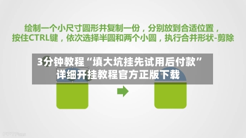 3分钟教程“填大坑挂先试用后付款	”详细开挂教程官方正版下载-第2张图片