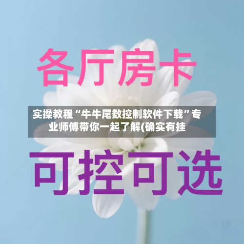 实操教程“牛牛尾数控制软件下载”专业师傅带你一起了解(确实有挂-第1张图片
