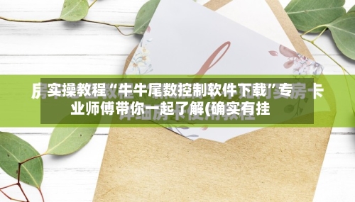 实操教程“牛牛尾数控制软件下载	”专业师傅带你一起了解(确实有挂-第2张图片