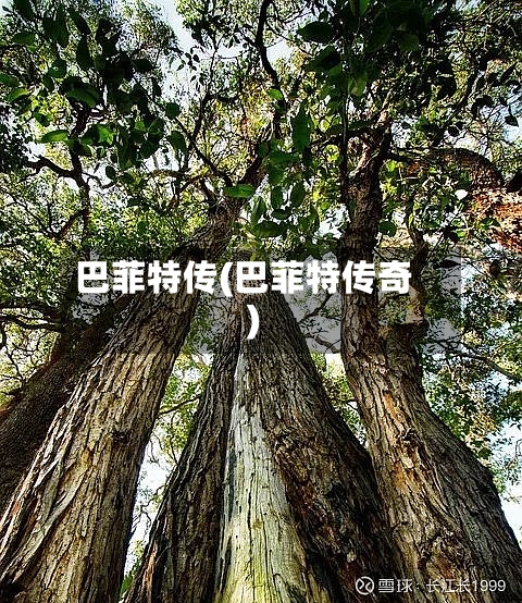 巴菲特传(巴菲特传奇)-第3张图片