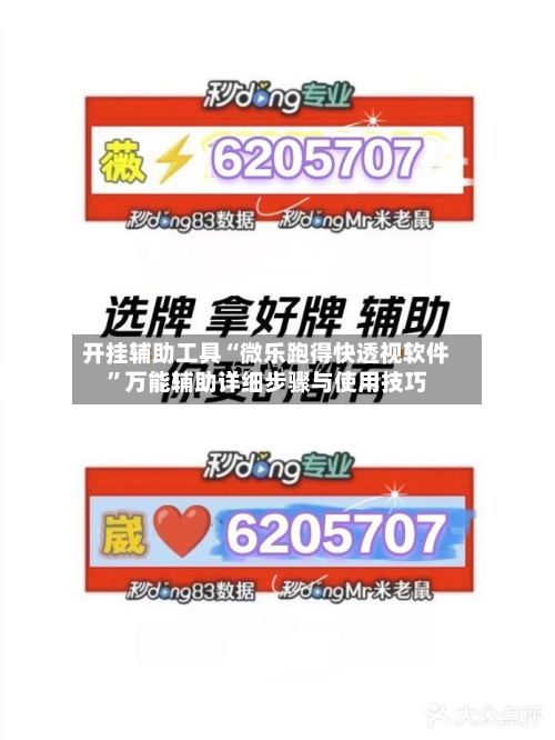 开挂辅助工具“微乐跑得快透视软件”万能辅助详细步骤与使用技巧-第2张图片