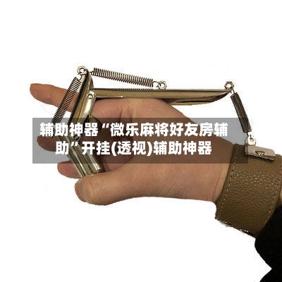 辅助神器“微乐麻将好友房辅助”开挂(透视)辅助神器-第2张图片