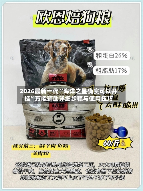 2026最新一代“海洋之星确实可以开挂”万能辅助详细步骤与使用技巧-第1张图片