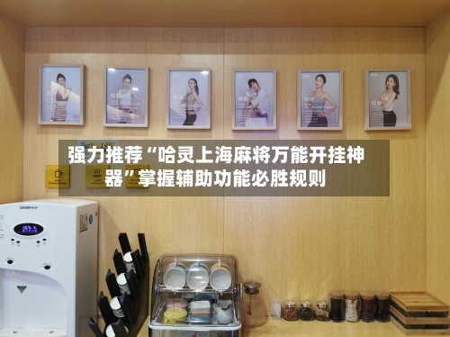 强力推荐“哈灵上海麻将万能开挂神器”掌握辅助功能必胜规则-第1张图片