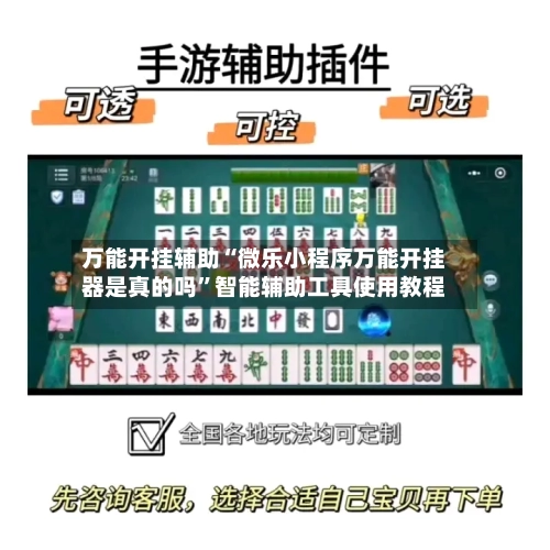 万能开挂辅助“微乐小程序万能开挂器是真的吗”智能辅助工具使用教程-第3张图片