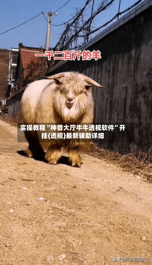 实操教程“神兽大厅牛牛透视软件”开挂(透视)最新辅助详细-第1张图片