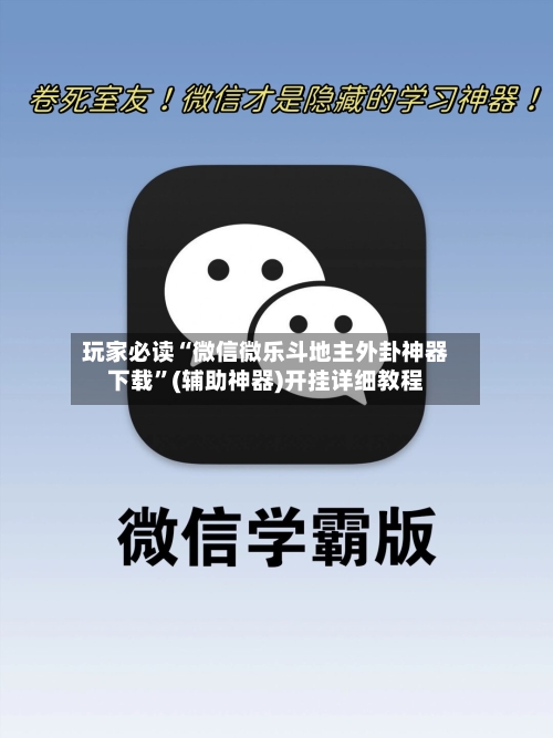玩家必读“微信微乐斗地主外卦神器下载	”(辅助神器)开挂详细教程-第3张图片
