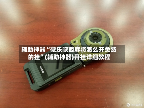 辅助神器“微乐陕西麻将怎么开免费的挂	”(辅助神器)开挂详细教程-第3张图片