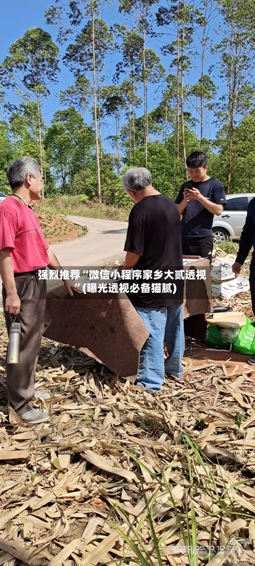 强烈推荐“微信小程序家乡大贰透视	”(曝光透视必备猫腻)-第1张图片