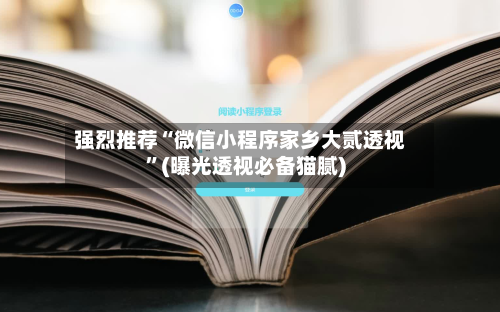 强烈推荐“微信小程序家乡大贰透视”(曝光透视必备猫腻)-第2张图片