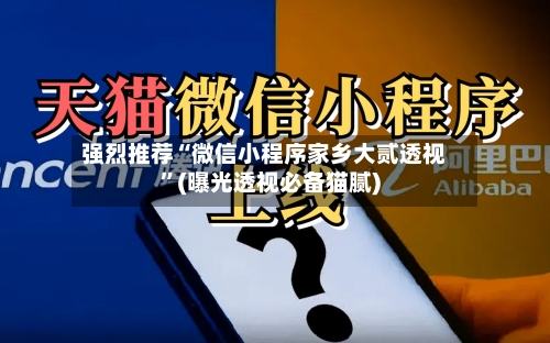强烈推荐“微信小程序家乡大贰透视”(曝光透视必备猫腻)-第3张图片