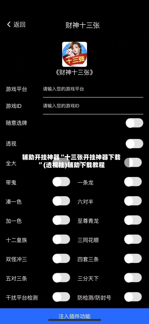辅助开挂神器“十三张开挂神器下载”(透视挂)辅助下载教程-第1张图片