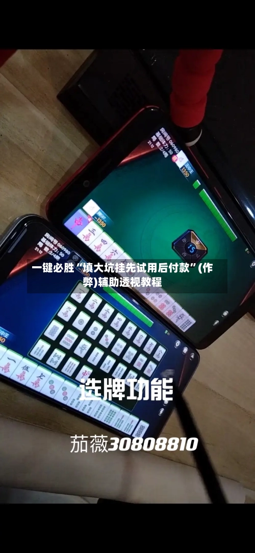 一键必胜“填大坑挂先试用后付款”(作弊)辅助透视教程-第2张图片