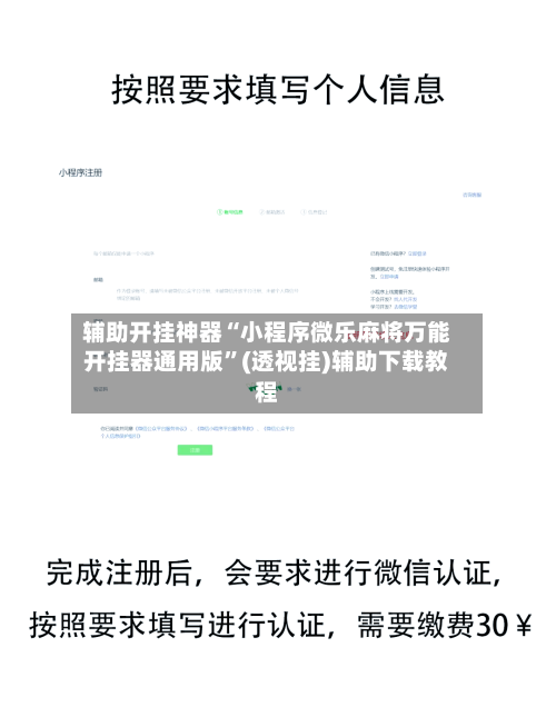 辅助开挂神器“小程序微乐麻将万能开挂器通用版”(透视挂)辅助下载教程-第1张图片