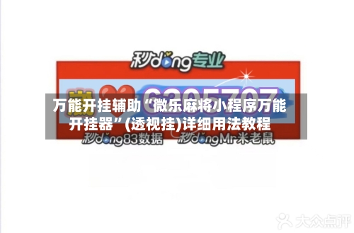 万能开挂辅助“微乐麻将小程序万能开挂器”(透视挂)详细用法教程-第2张图片