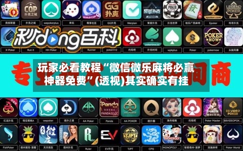 玩家必看教程“微信微乐麻将必赢神器免费”(透视)其实确实有挂-第2张图片