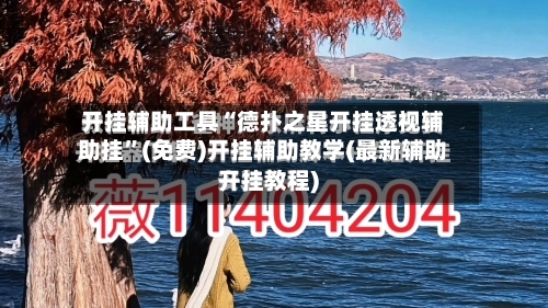 开挂辅助工具“德扑之星开挂透视辅助挂”(免费)开挂辅助教学(最新辅助开挂教程)-第2张图片