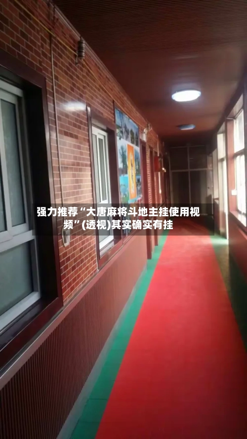 强力推荐“大唐麻将斗地主挂使用视频”(透视)其实确实有挂-第1张图片