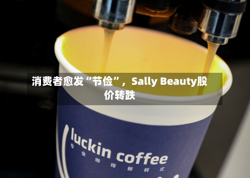 消费者愈发“节俭	”	，Sally Beauty股价转跌-第2张图片